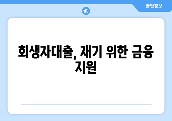 회생자대출, 재기 위한 금융 지원