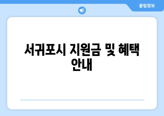 서귀포시 지원금 및 혜택 안내