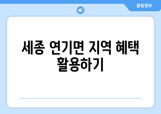 세종 연기면 지역 혜택 활용하기