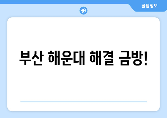 부산 해운대 해결 금방!