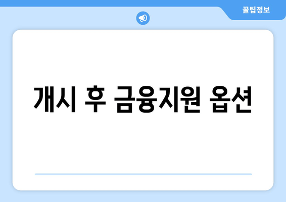 개시 후 금융지원 옵션