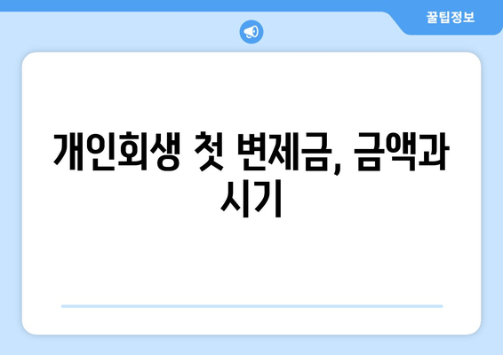 개인회생 첫 변제금, 금액과 시기