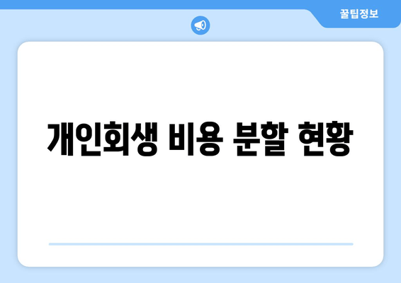 개인회생 비용 분할 현황