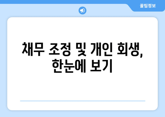 채무 조정 및 개인 회생, 한눈에 보기