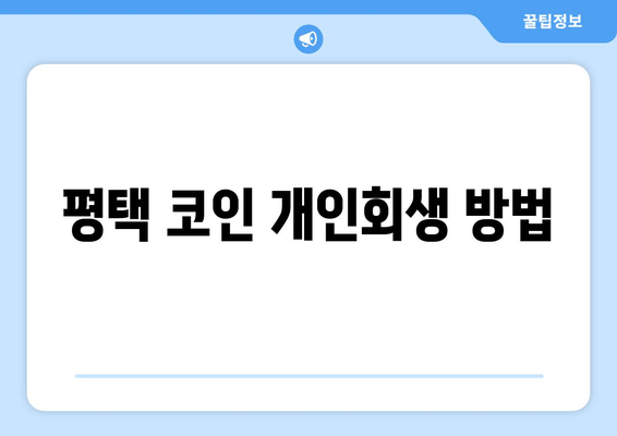 평택 코인 개인회생 방법