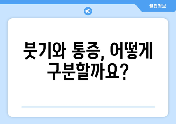 종아리 통증, 발목과 발 부기| 원인과 해결책 찾기 | 종아리 통증, 발목 부기, 발 부종, 발목 통증, 원인, 치료, 해결