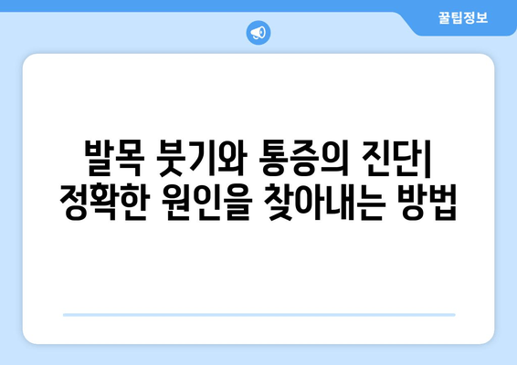 발목 붓기와 통증의 원인| 염좌, 관절염, 골절 | 증상, 원인, 진단, 치료, 예방