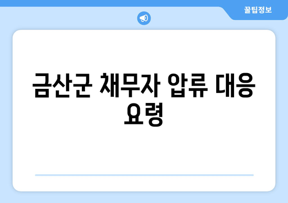 금산군 채무자 압류 대응 요령