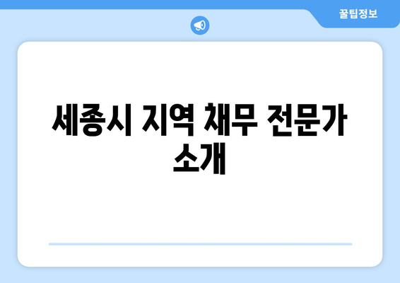 세종시 지역 채무 전문가 소개