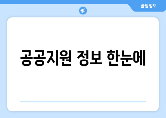 공공지원 정보 한눈에