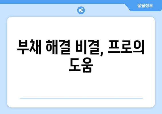 부채 해결 비결, 프로의 도움