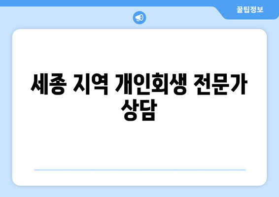 세종 지역 개인회생 전문가 상담