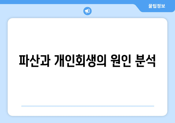 파산과 개인회생의 원인 분석