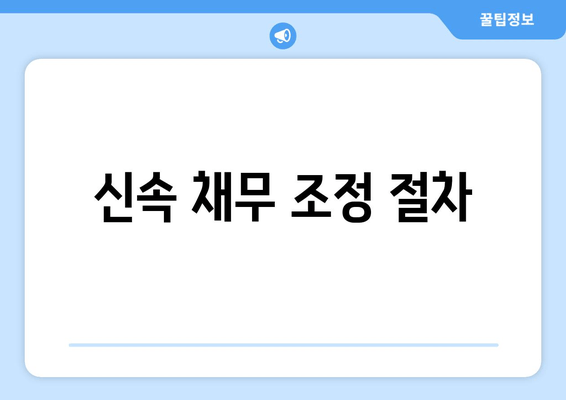 신속 채무 조정 절차