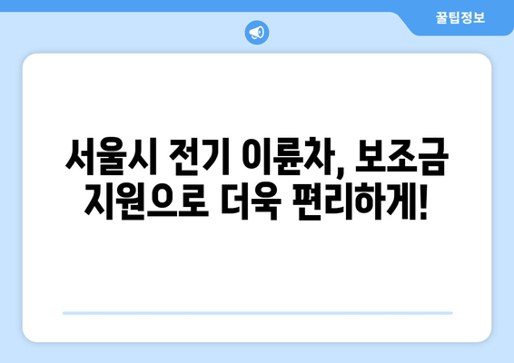 서울시 전기 이륜차 보조금 신청 바로가기 | 신청 자격, 지원 금액, 신청 절차 상세 가이드