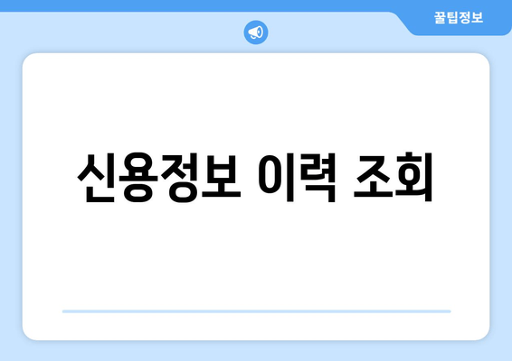 신용정보 이력 조회