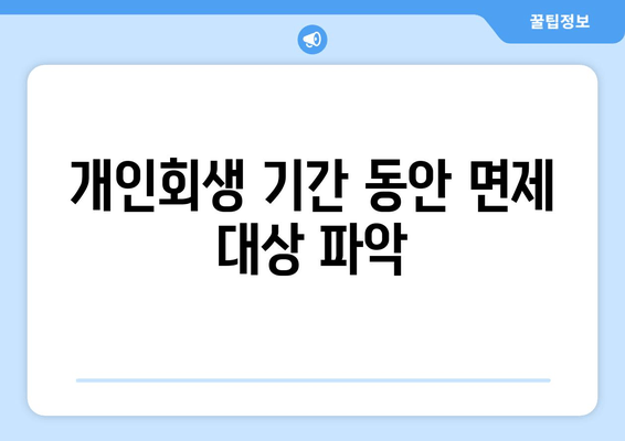 개인회생 기간 동안 면제 대상 파악