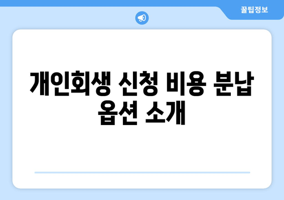 개인회생 신청 비용 분납 옵션 소개