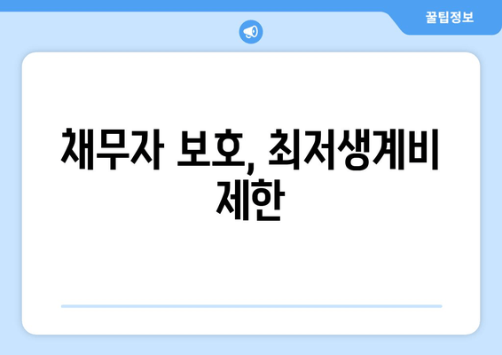 채무자 보호, 최저생계비 제한