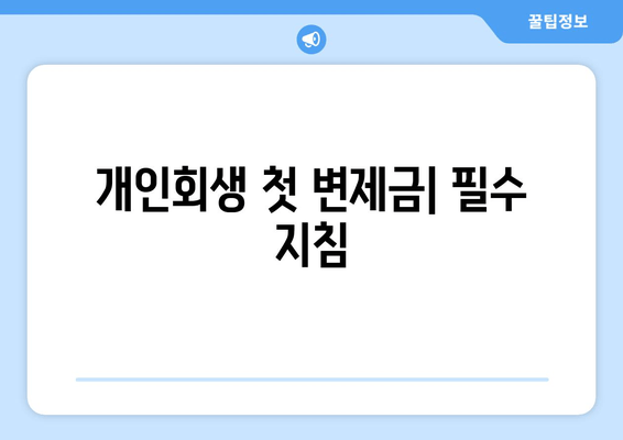 개인회생 첫 변제금| 필수 지침