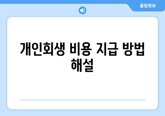 개인회생 비용 지급 방법 해설