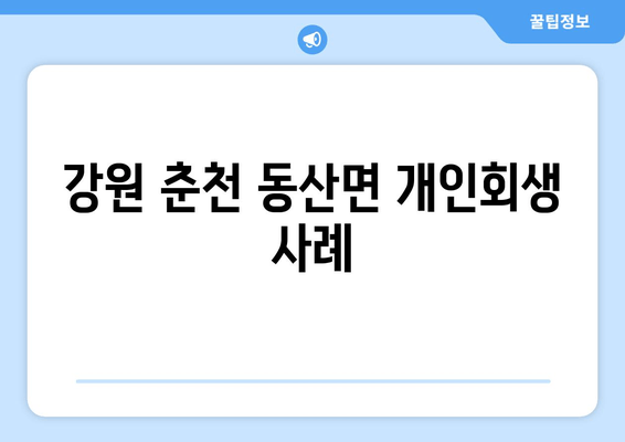 강원 춘천 동산면 개인회생 사례