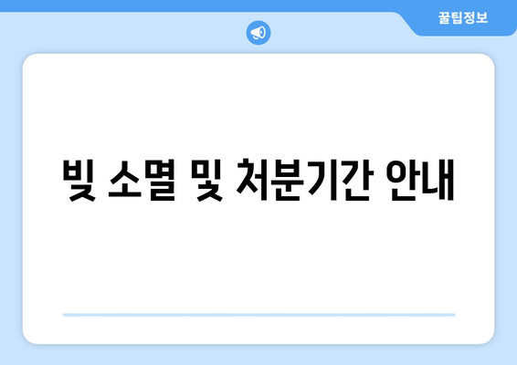 빚 소멸 및 처분기간 안내