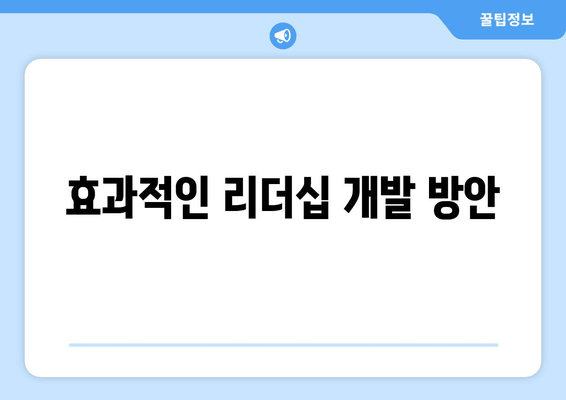 효과적인 리더십 개발 방안