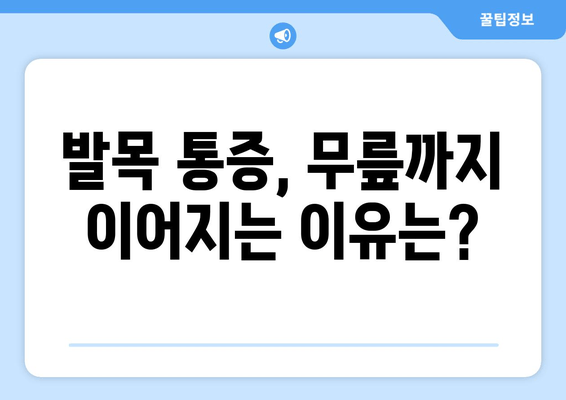 발목 통증, 무릎부터 허리까지? 통증 해결 위한 5가지 요령 | 발목 통증, 무릎 통증, 허리 통증, 통증 완화, 재활 운동