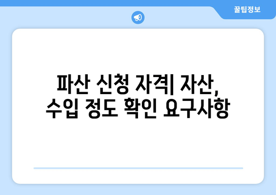 파산 신청 자격| 자산, 수입 정도 확인 요구사항