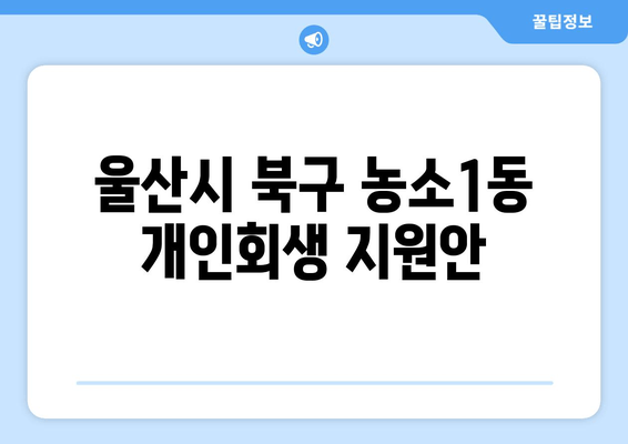 울산시 북구 농소1동 개인회생 지원안