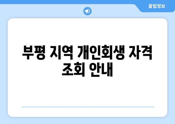 부평 지역 개인회생 자격 조회 안내