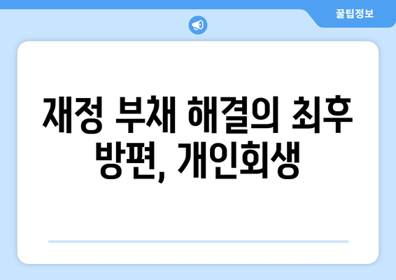 재정 부채 해결의 최후 방편, 개인회생