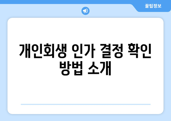 개인회생 인가 결정 확인 방법 소개