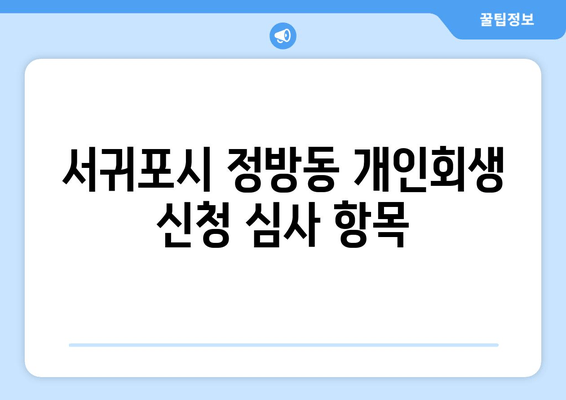 서귀포시 정방동 개인회생 신청 심사 항목