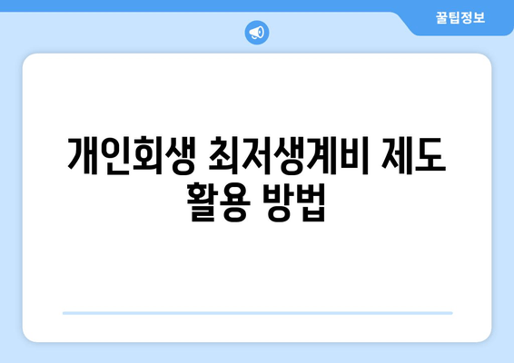 개인회생 최저생계비 제도 활용 방법