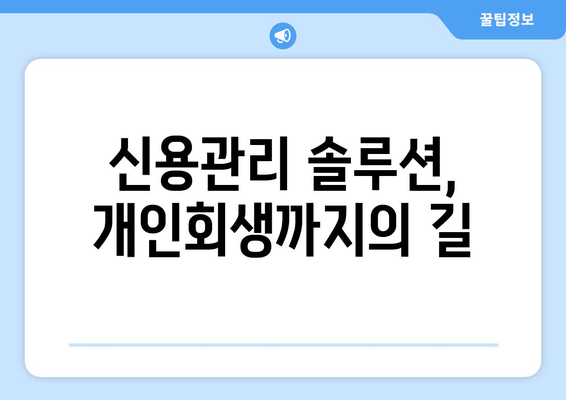 신용관리 솔루션, 개인회생까지의 길