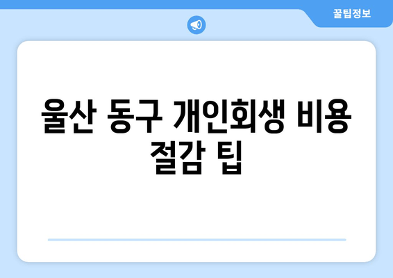 울산 동구 개인회생 비용 절감 팁