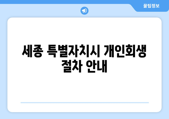 세종 특별자치시 개인회생 절차 안내