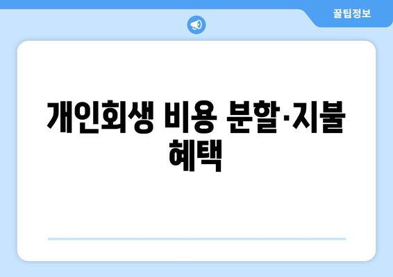 개인회생 비용 분할·지불 혜택