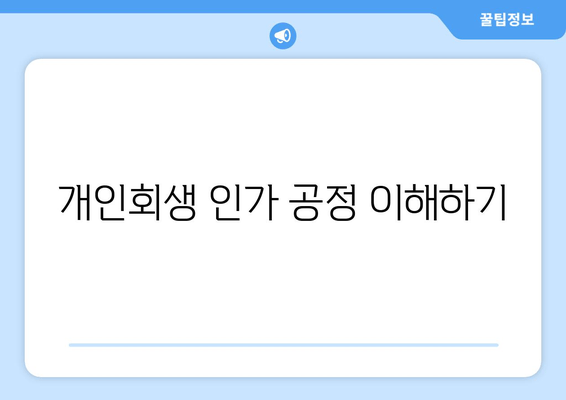 개인회생 인가 공정 이해하기