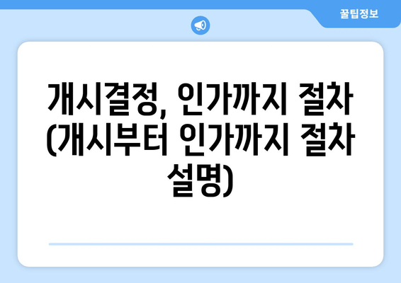 개시결정, 인가까지 절차 (개시부터 인가까지 절차 설명)