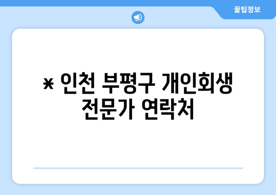 * 인천 부평구 개인회생 전문가 연락처