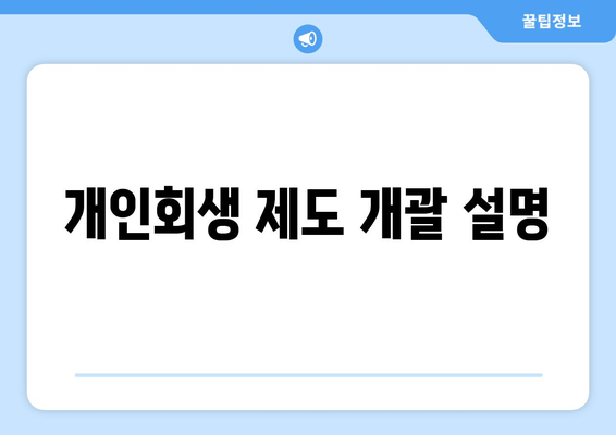 개인회생 제도 개괄 설명