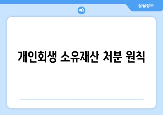 개인회생 소유재산 처분 원칙