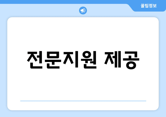 전문지원 제공