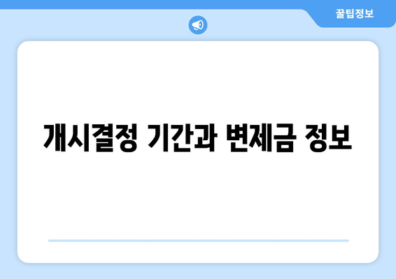 개시결정 기간과 변제금 정보