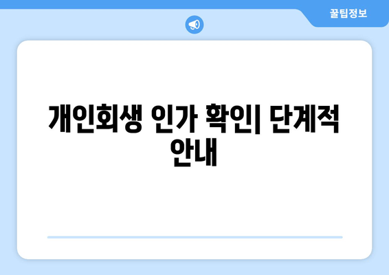 개인회생 인가 확인| 단계적 안내