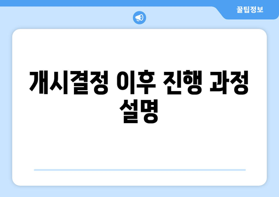 개시결정 이후 진행 과정 설명