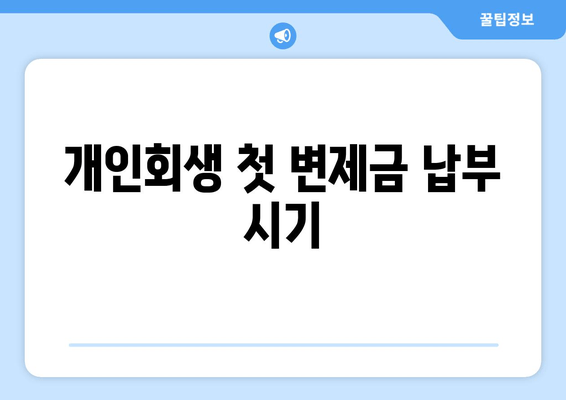 개인회생 첫 변제금 납부 시기